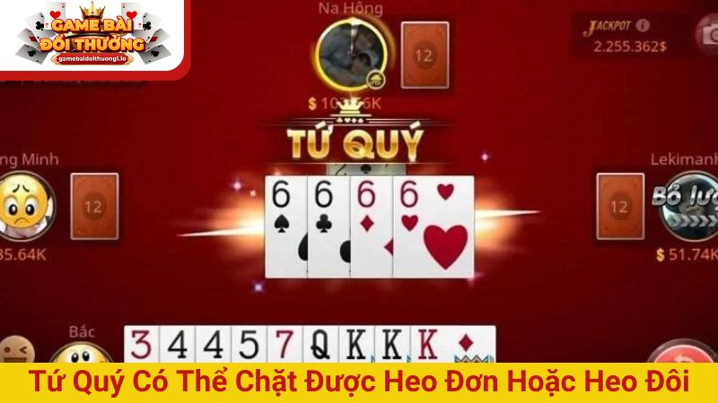 Tứ quý có thể chặt được heo đơn hoặc heo đôi